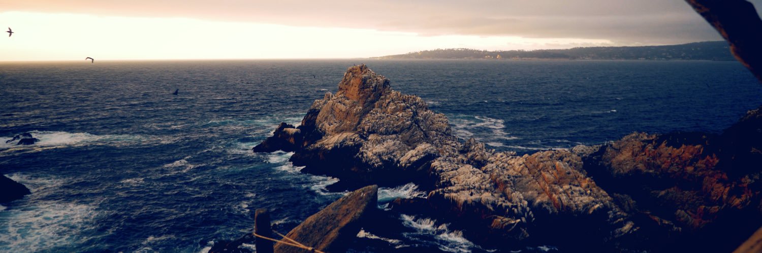 Brendan Steidle banner