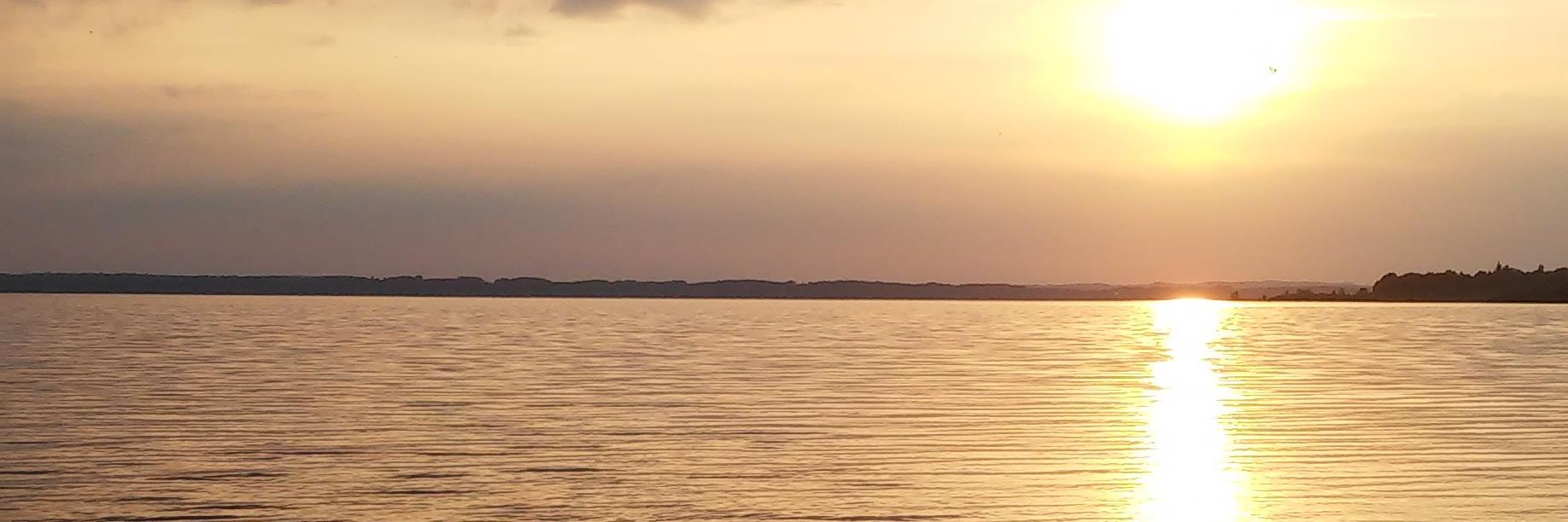 MarkoShegy's profile banner image
