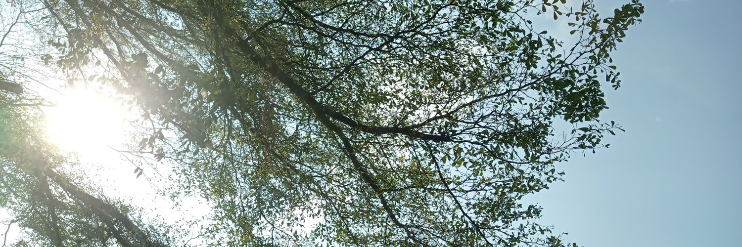 ambarbetha's profile banner image