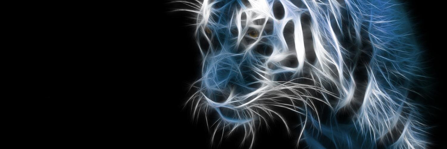 robinprashanth's profile banner image