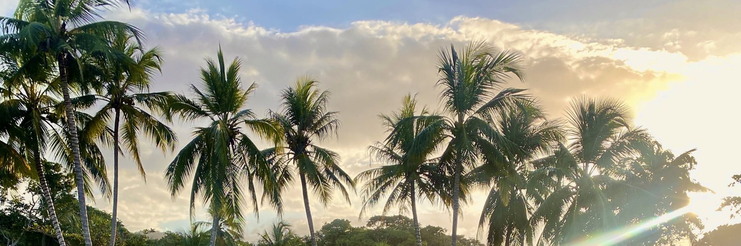 LainerHoz's profile banner image