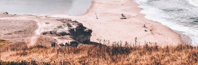Guslhenn's profile banner image