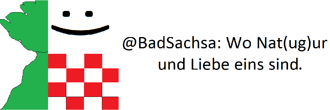 BadSachsa's profile banner image