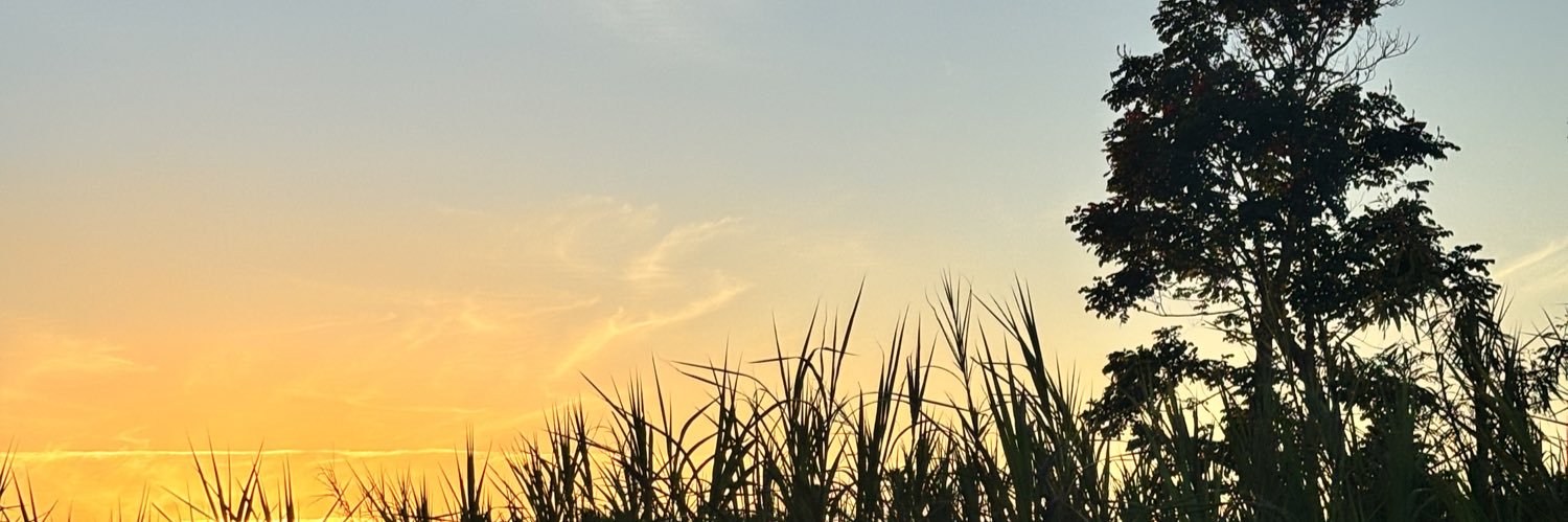 roquelleee's profile banner image