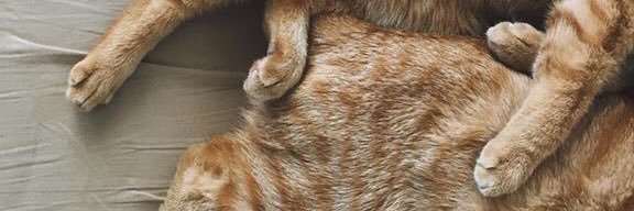 bahblahh's profile banner image