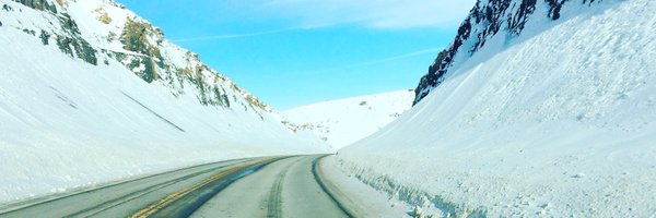 adriennesegundo Profile Banner