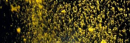 మోహన్ 😎 banner