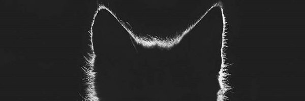 Jere050889 Profile Banner