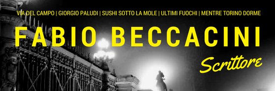 Fabio Beccacini banner