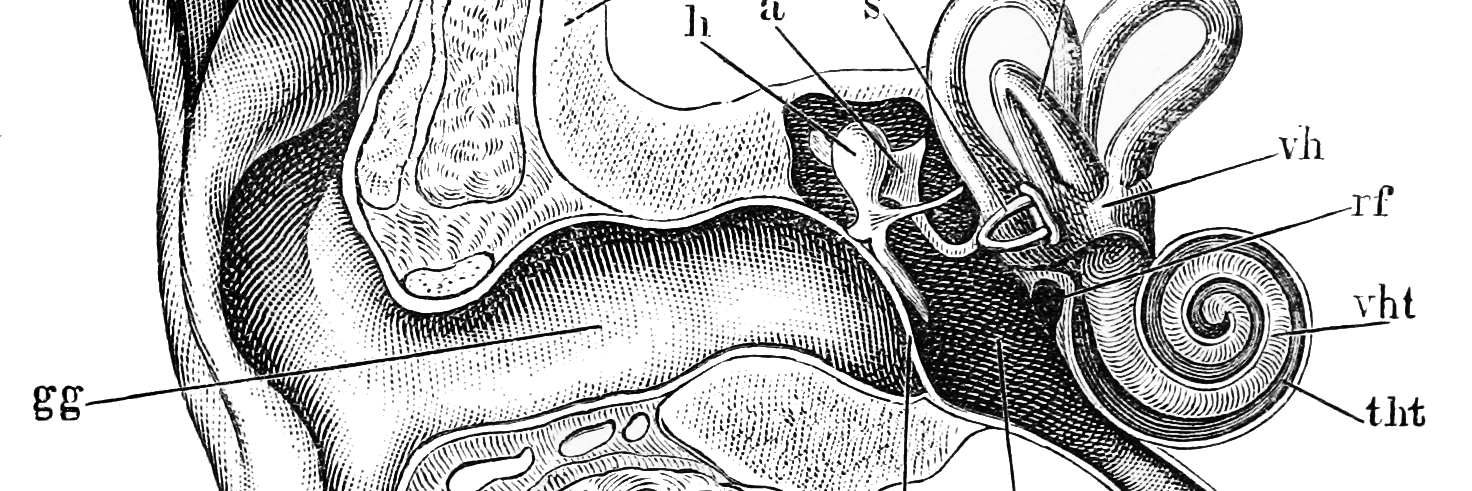 broohaha•collective banner