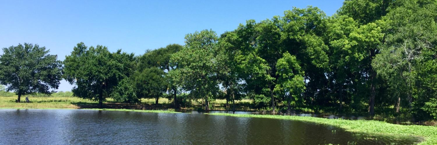 Preservation Texas banner