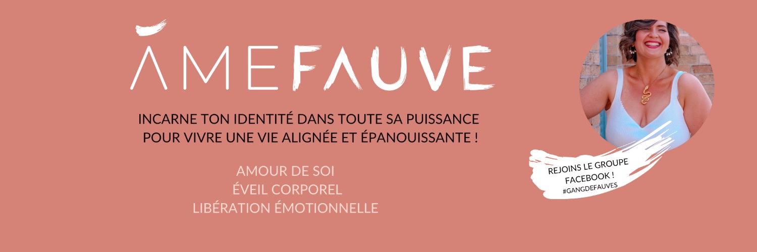 AmeFauve's profile banner image