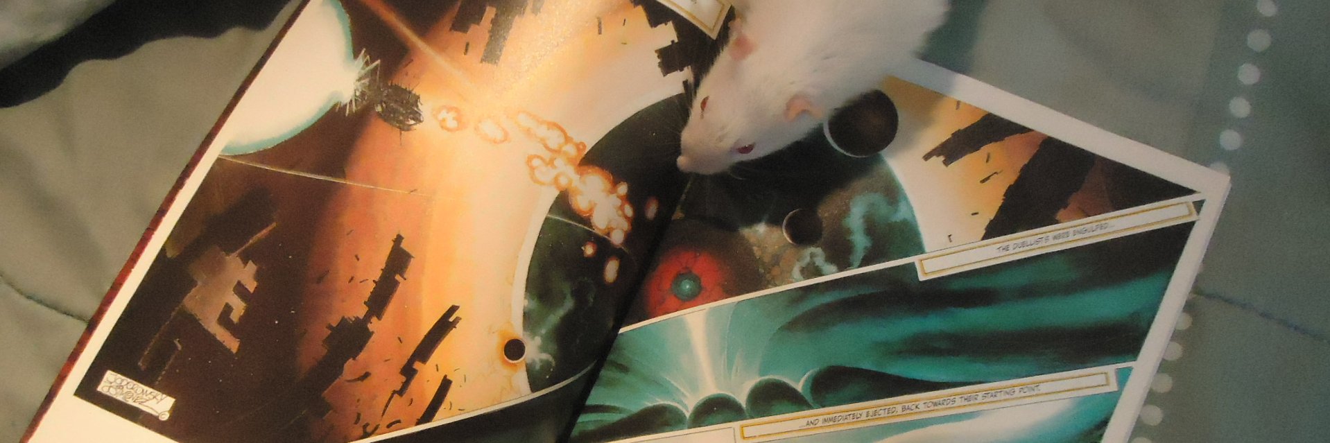 Eriatarkca's profile banner image