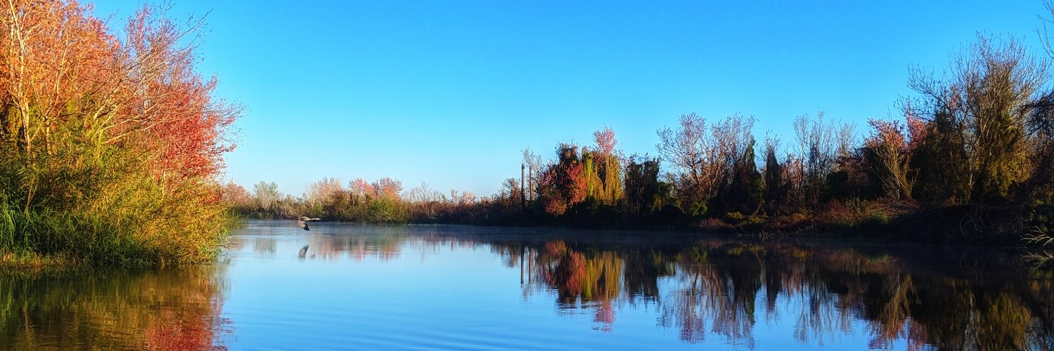 hd_caroline's profile banner image