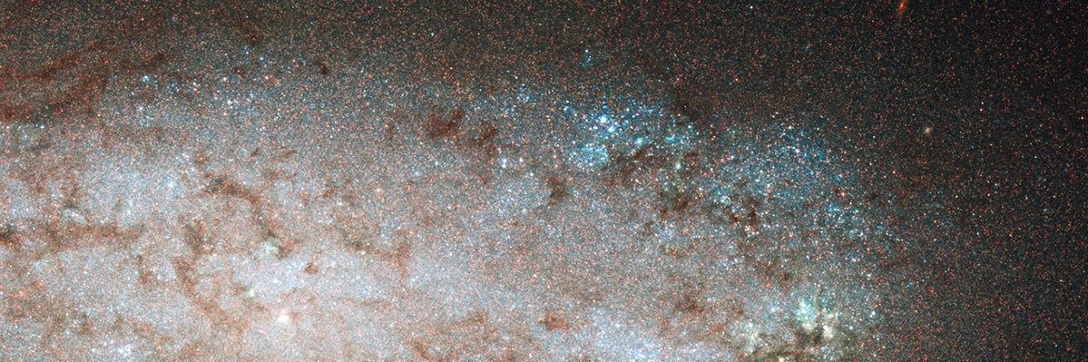 Saturninidae's profile banner image