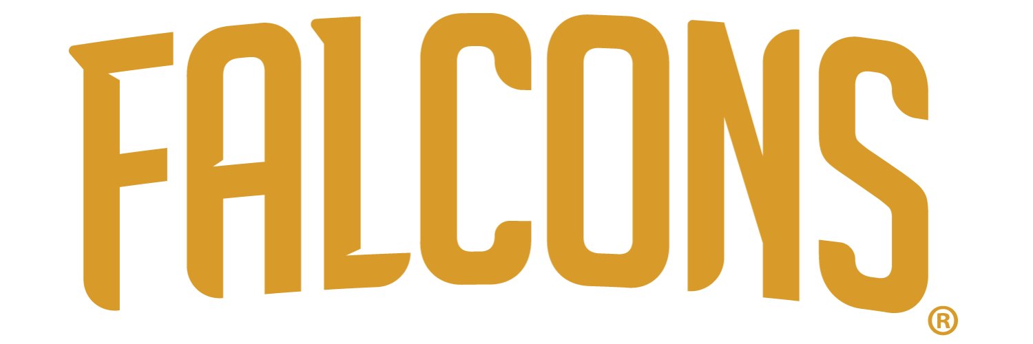 CMSD_Falcons's profile banner image