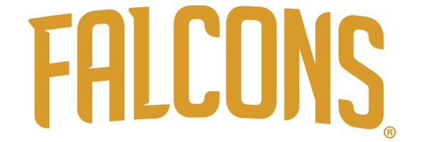 CMSD_Falcons Profile Banner