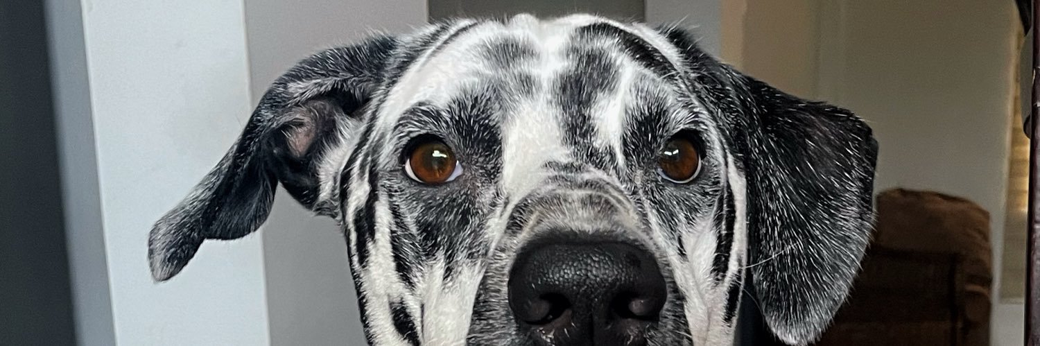 Andresgentleman's profile banner image