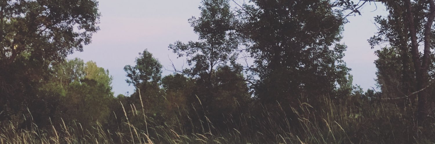 AlexCFlick's profile banner image