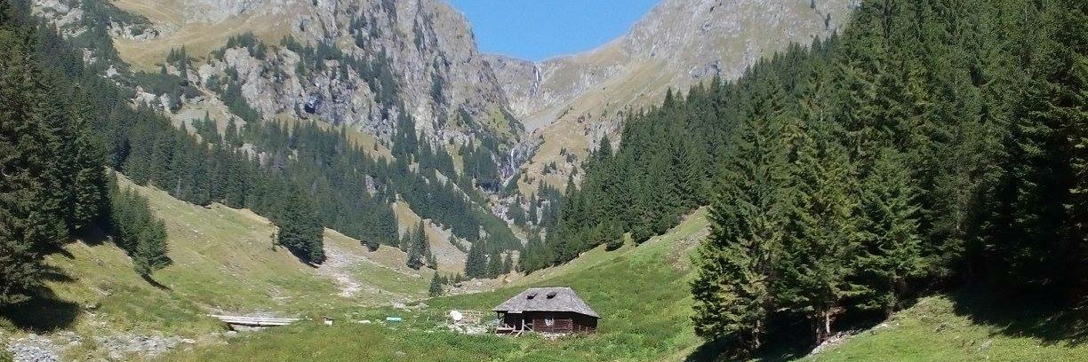 Dragoș Ionescu banner