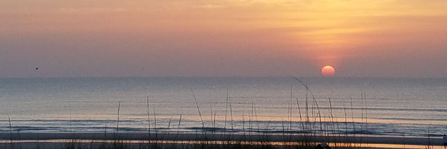 SA_Beachbum's profile banner image
