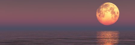 __RadiantRaven's profile banner image