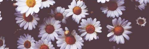 tnlxm's profile banner image