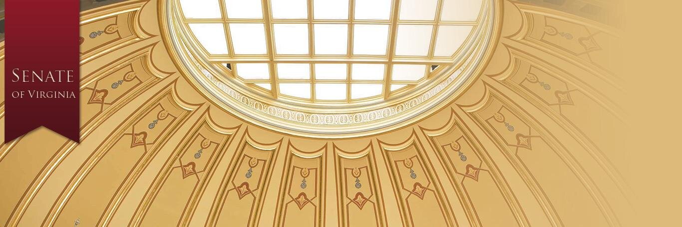VaSenateofVirginia banner