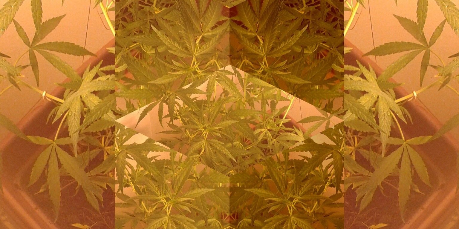 maarcbh's profile banner image