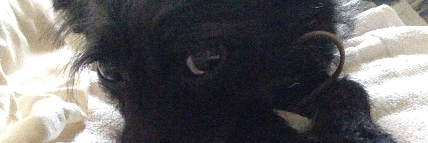 Babyitslynne's profile banner image
