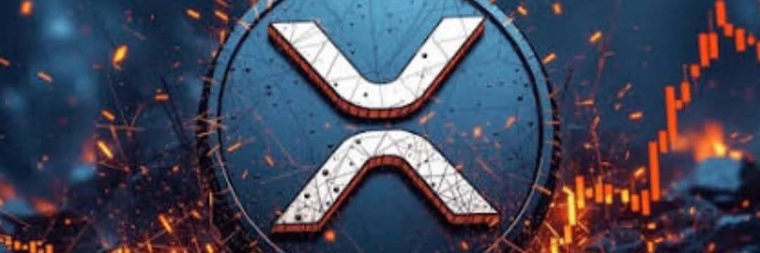 Crypto_Fomox175's profile banner image