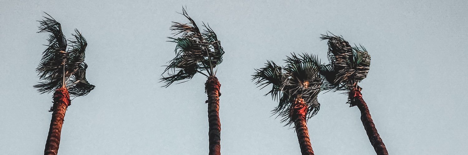 buuuugg's profile banner image