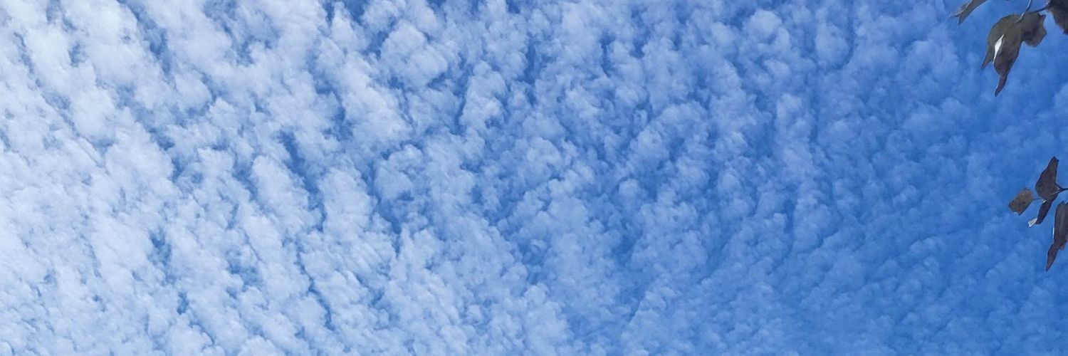 Jess. ×͜× 🌻 banner