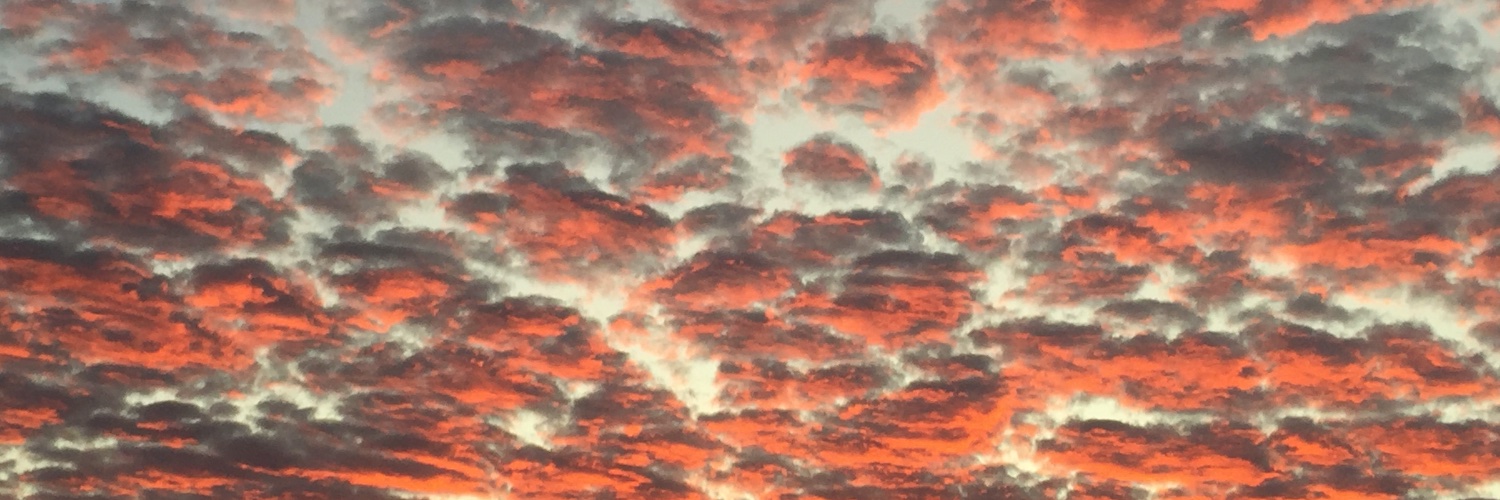 Jeffrey Shallit 🇺🇦 banner