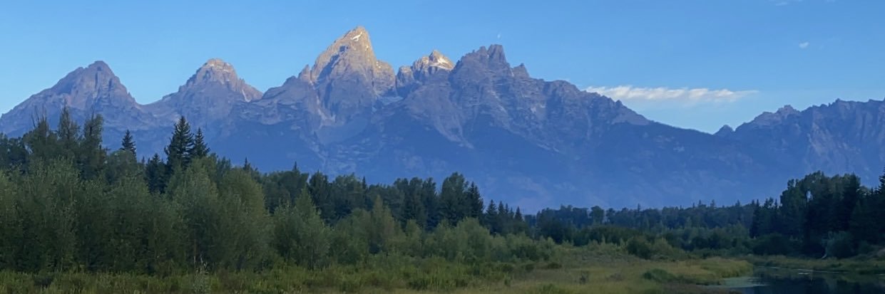 McKenzie Browne banner