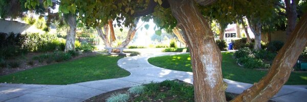 _saor_ Profile Banner