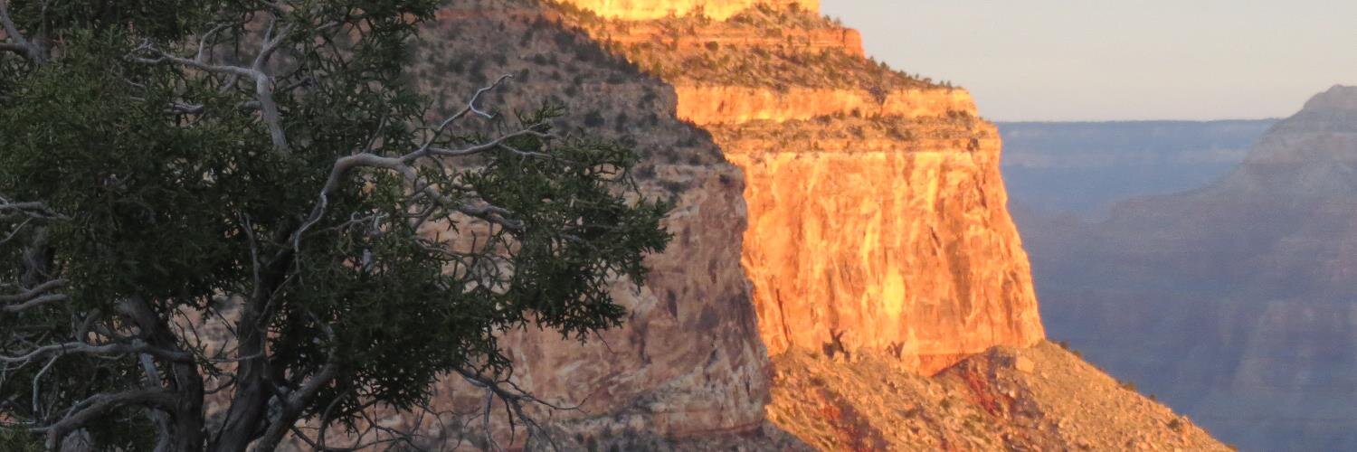 pradym's profile banner image