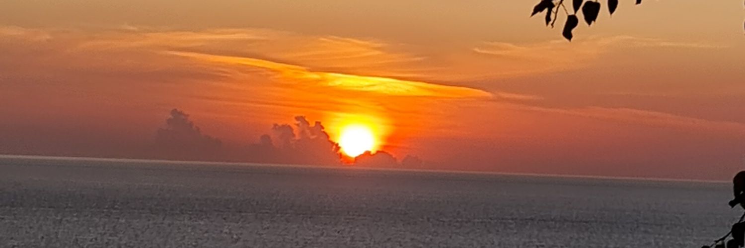 ongjo's profile banner image