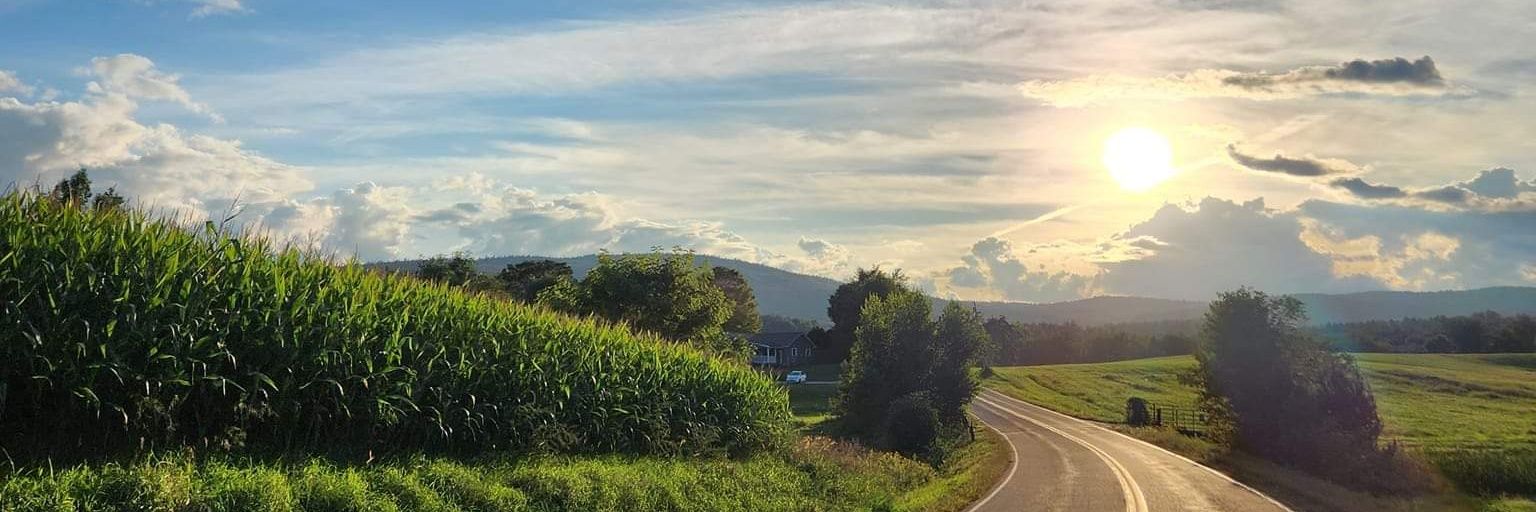 Casey Stegman banner