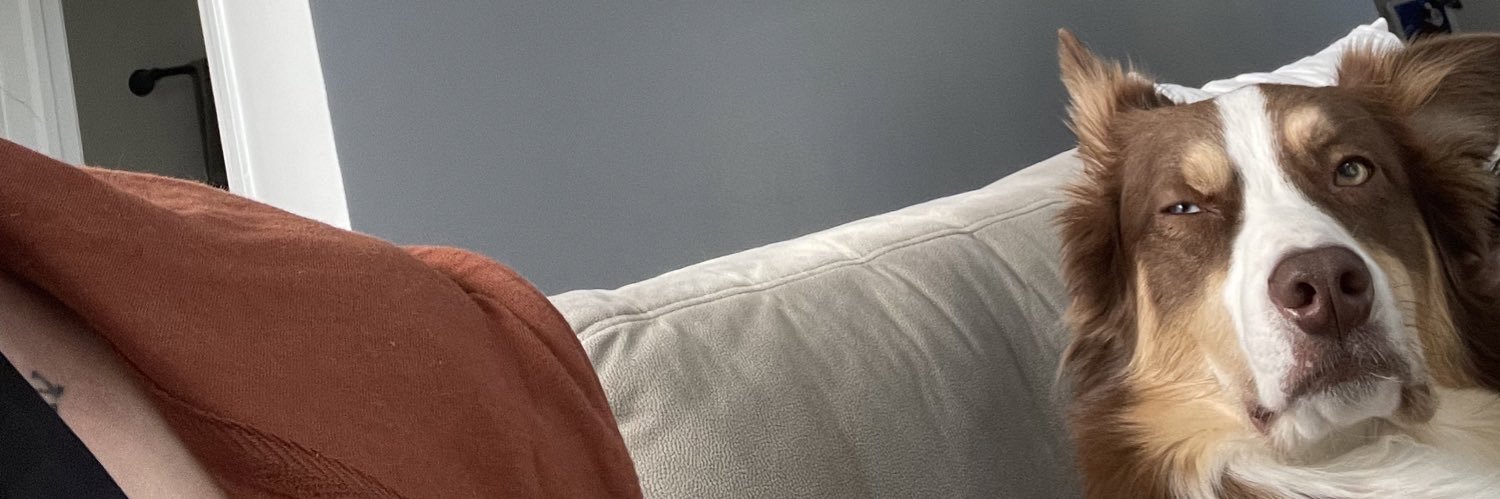 madddrodriguez's profile banner image