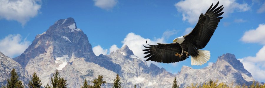 slked's profile banner image
