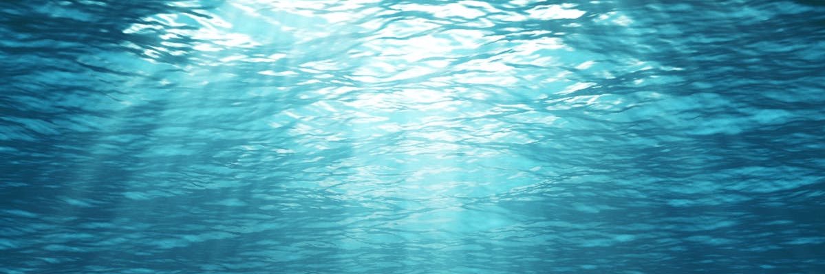 RachaelWithTwoA's profile banner image