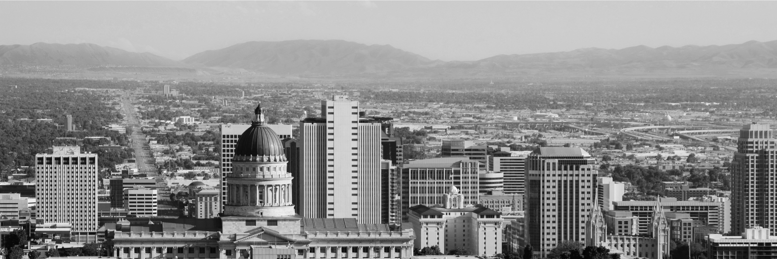 David Malmborg banner