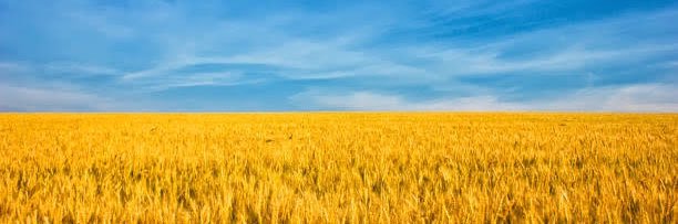 majorcadude's profile banner image