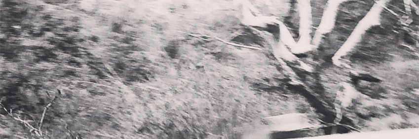 _TESSIERI's profile banner image