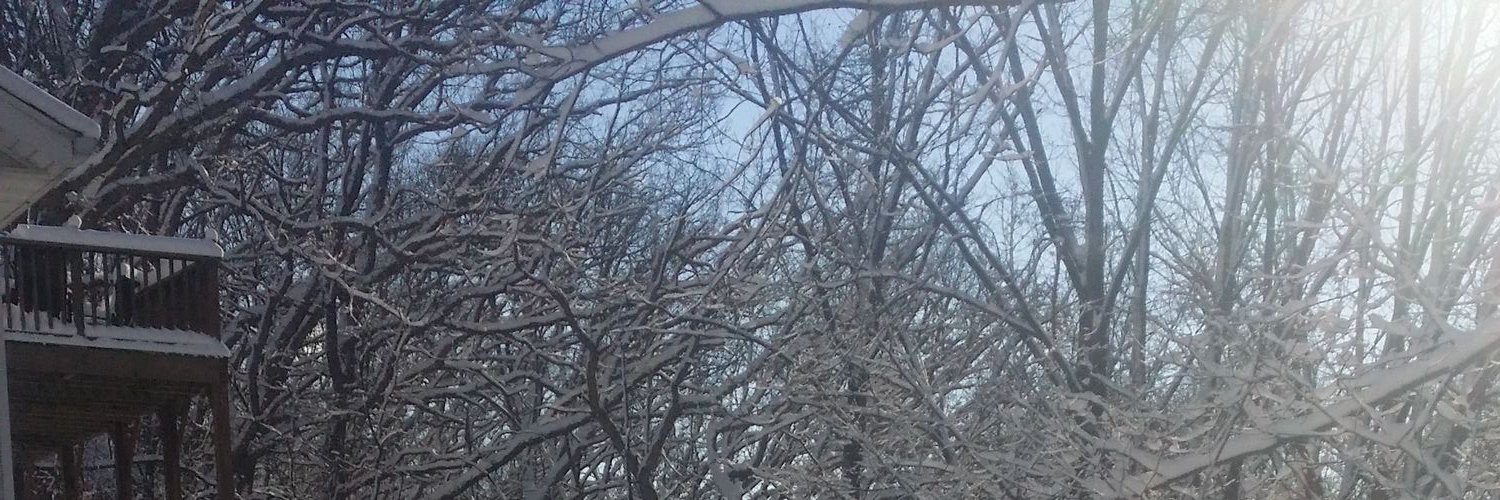 ljking01's profile banner image