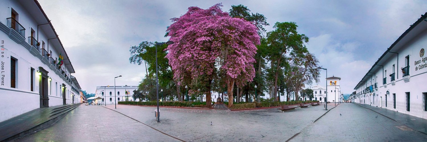 JavierPerafan's profile banner image