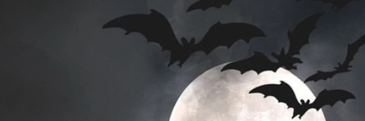 thecurseddchild's profile banner image