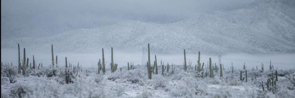 mario_campa Profile Banner