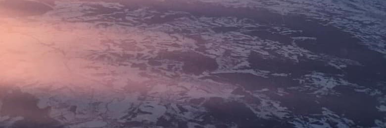 Estephania banner